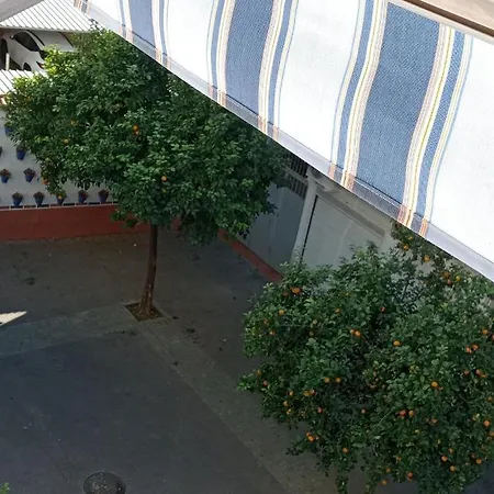 Apartamento La Paloma